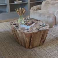 Norwest Petrified Wood Coffee Table, Natural