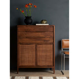 Sydney Tall Dresser, Brown Wash-High Fashion Home