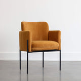 Richie Arm Chair, Danny Amber-Furniture - Chairs-High Fashion Home