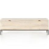 Trey Trunk, Dove Poplar-Furniture - Storage-High Fashion Home