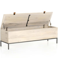 Trey Trunk, Dove Poplar-Furniture - Storage-High Fashion Home