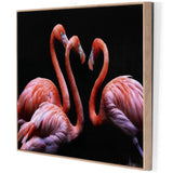 Three Flamingos by Getty Images-Accessories Artwork-High Fashion Home
