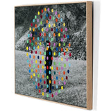 Virtual Nature by Getty Images-Accessories Artwork-High Fashion Home
