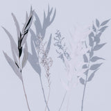 Shadow Leaves I by Annie Spratt-Accessories Artwork-High Fashion Home