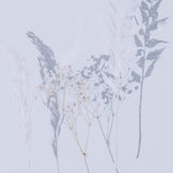 Shadow Leaves II by Annie Spratt-Accessories Artwork-High Fashion Home