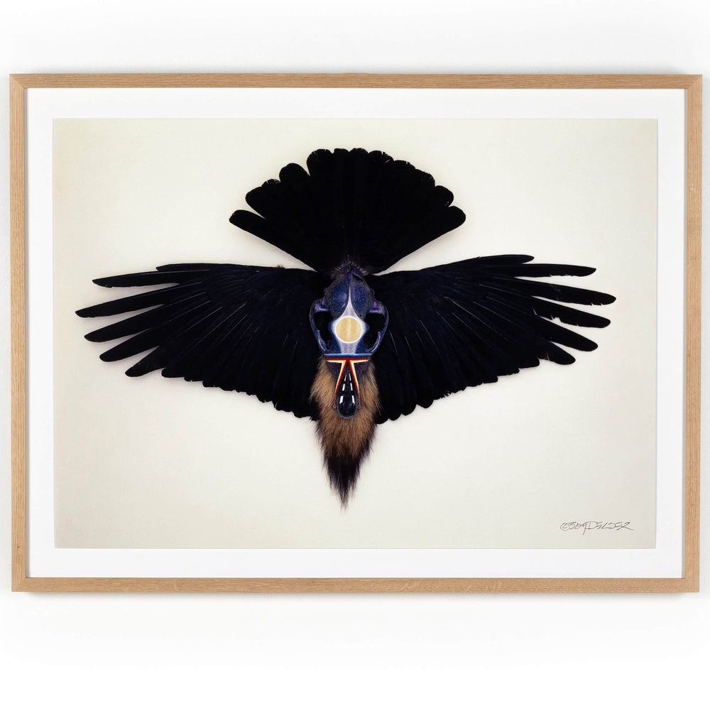 Coyote Crow by Boyd Elder-Accessories Artwork-High Fashion Home