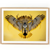 Sundancer Yellow by Boyd Elder-Accessories Artwork-High Fashion Home
