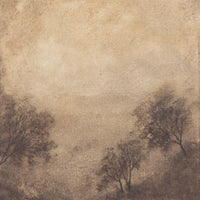 Viewpoint II by Aileen Fitzgerald-Accessories Artwork-High Fashion Home