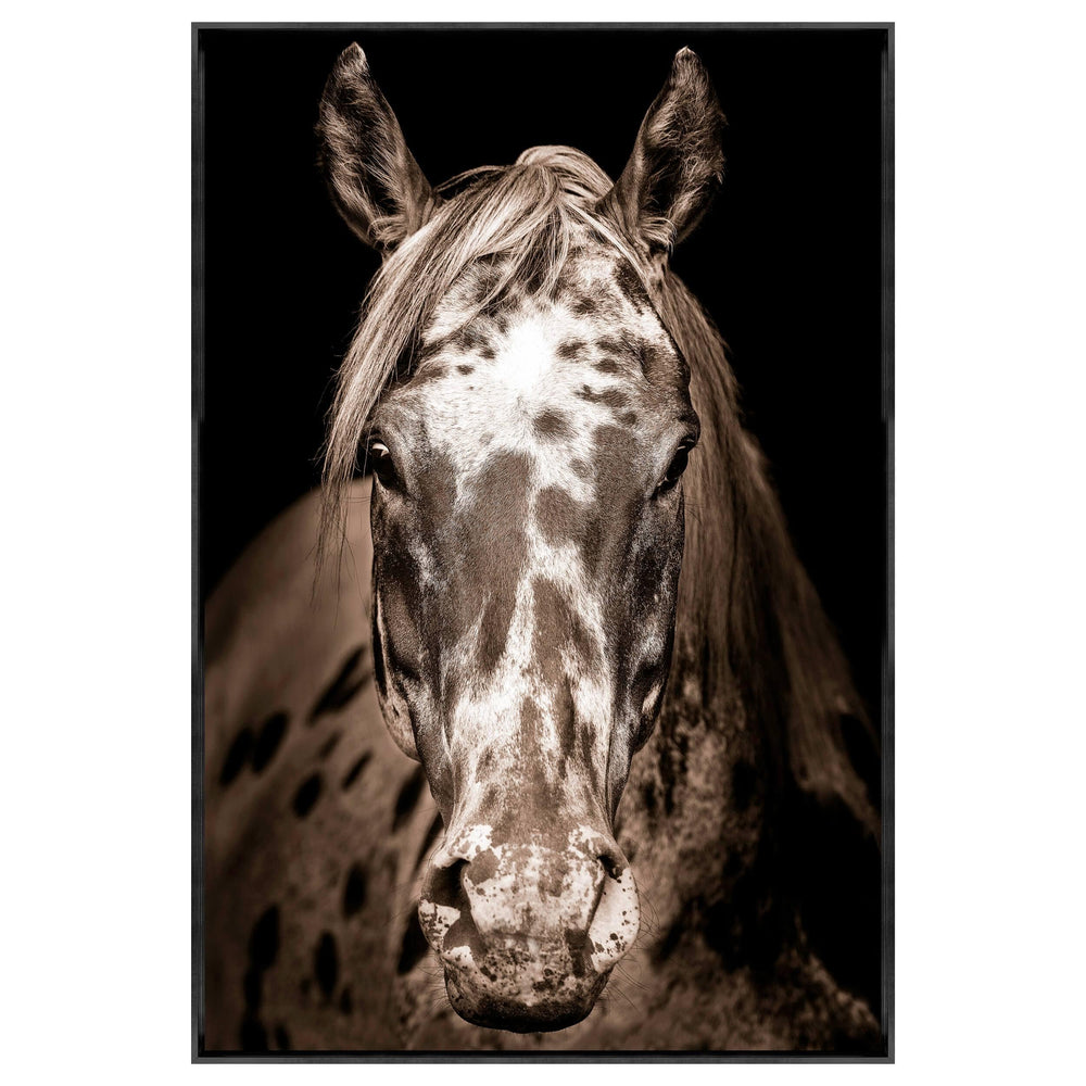 Paint Horse Framed-Accessories Artwork-High Fashion Home
