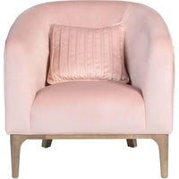 Audrey Chair, Perfect Blush - Modern Furniture - Accent Chairs - High Fashion Home
