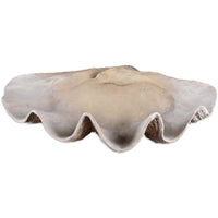 Clam Shell Bowl-Accessories-High Fashion Home