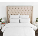 Danica Quilt, White-High Fashion Home