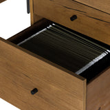 Eaton Executive Desk, Amber Oak by Four Hands