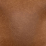 Hawkins Leather Dining Chair, Butterscotch, Set of 2 by Four Hands