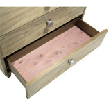 Surfrider Bachelor's Chest-Furniture - Storage-High Fashion Home
