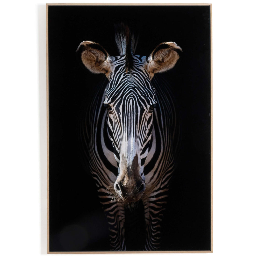 Zebra Stare by Getty Images by Four Hands