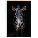 Zebra Stare by Getty Images