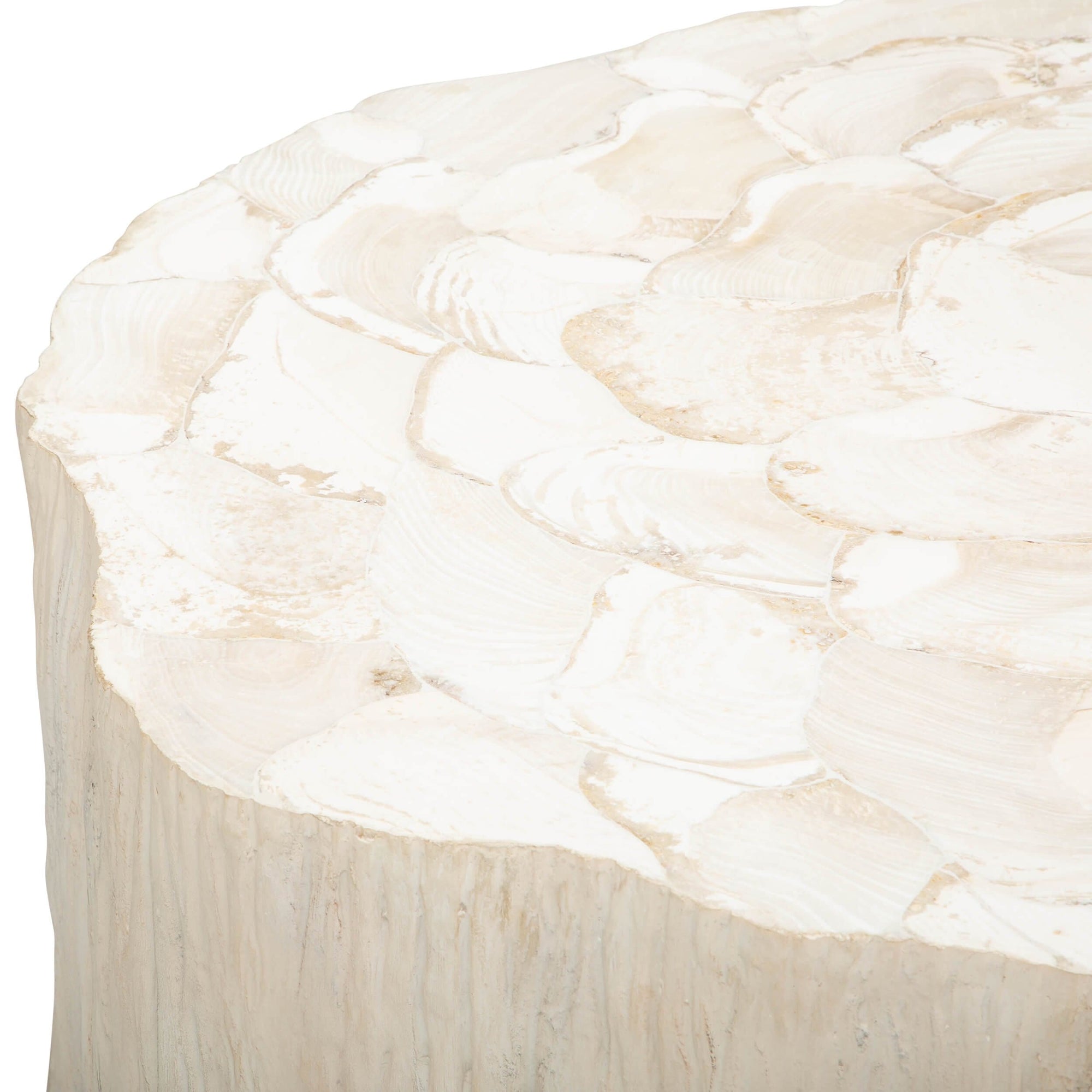 Camilla Fossilized Clam Coffee Table High Fashion Home