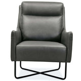 Efron Leather Chair-Furniture - Chairs-High Fashion Home