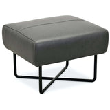 Efron Leather Ottoman-Furniture - Chairs-High Fashion Home