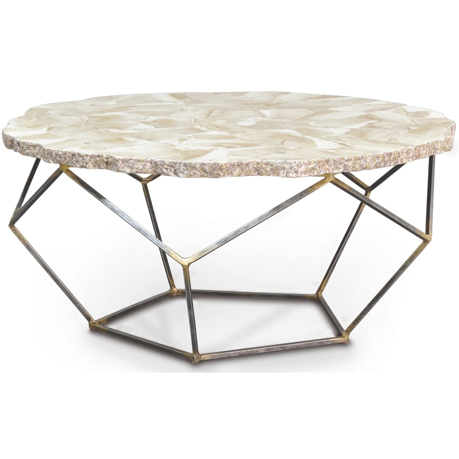 Loren Fossilized Clam Coffee Table High Fashion Home
