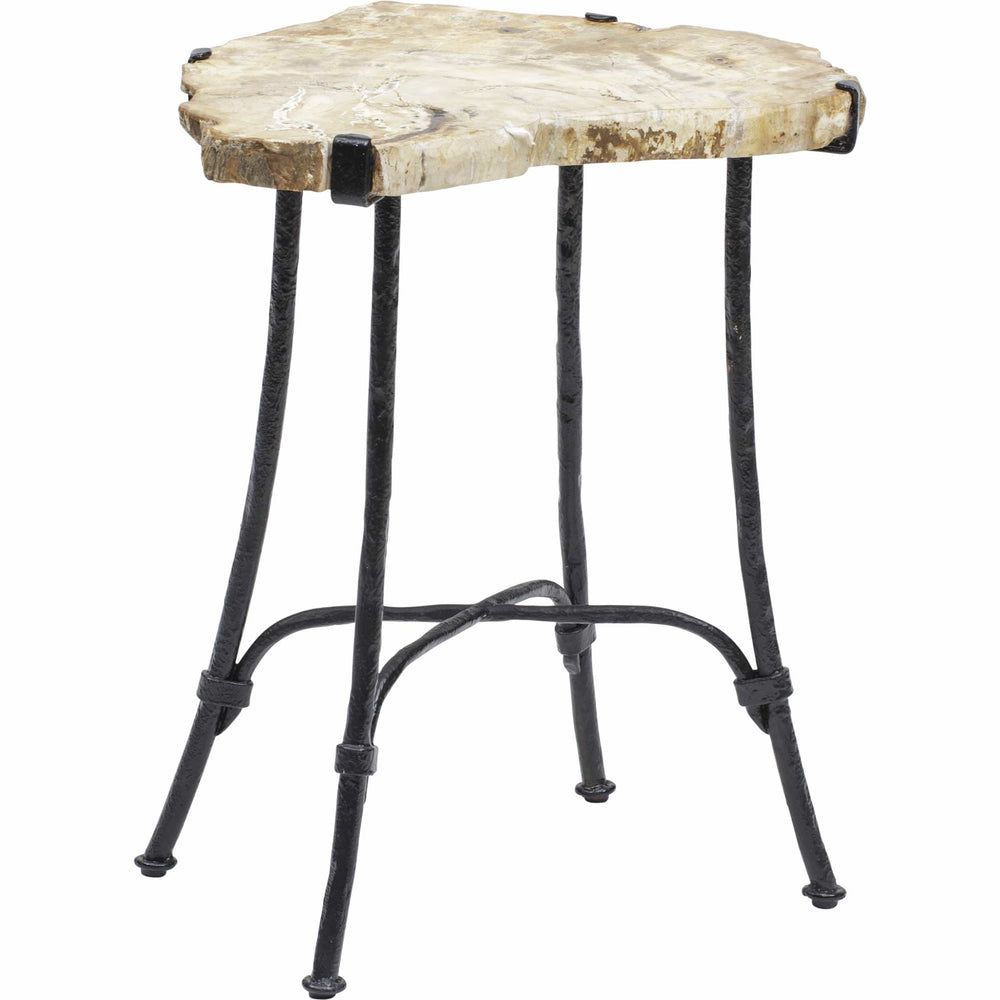 Sliced Petrified Wood Table - Furniture - Accent Tables - High Fashion Home