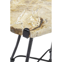Sliced Petrified Wood Table - Furniture - Accent Tables - High Fashion Home