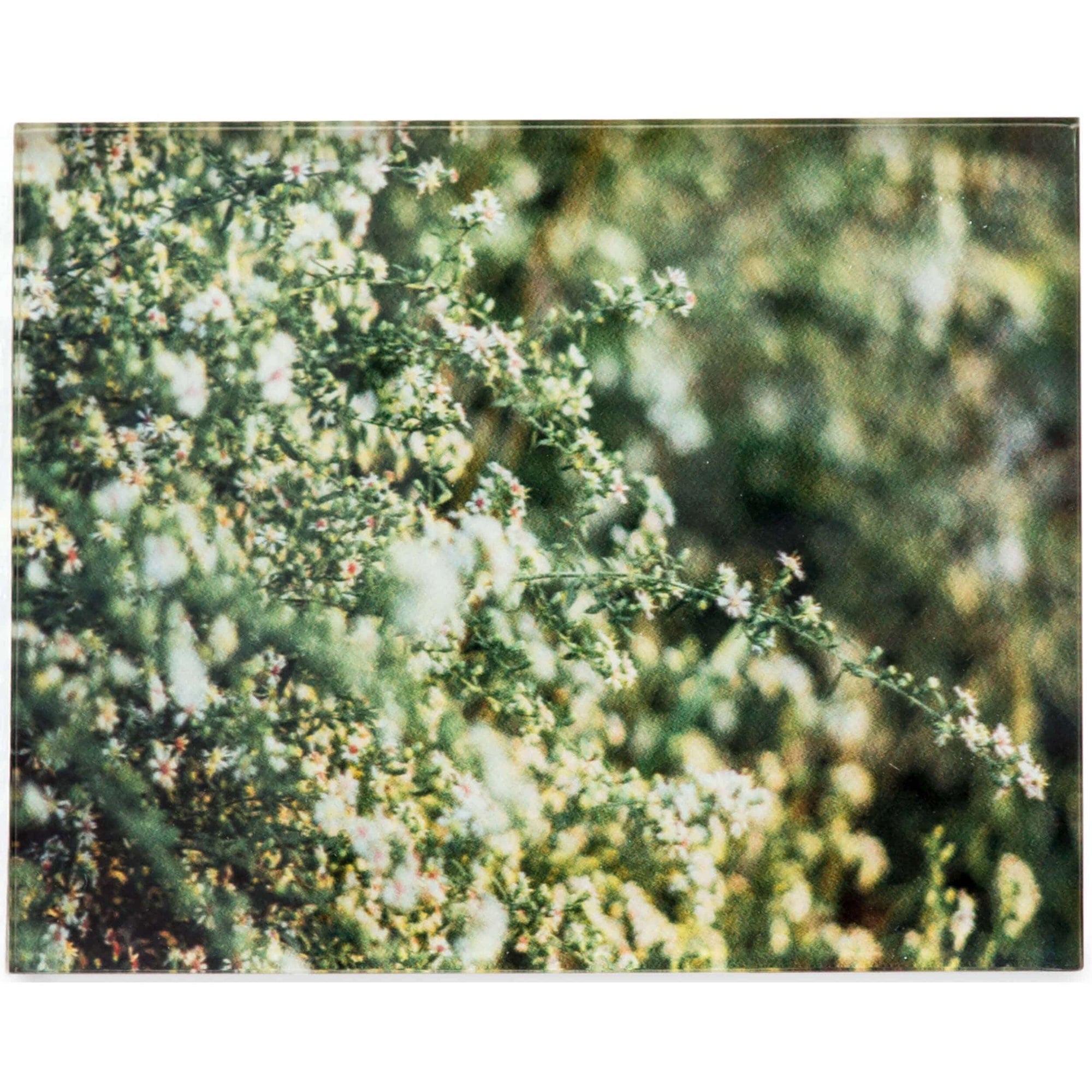 Spring Bloom High Fashion Home