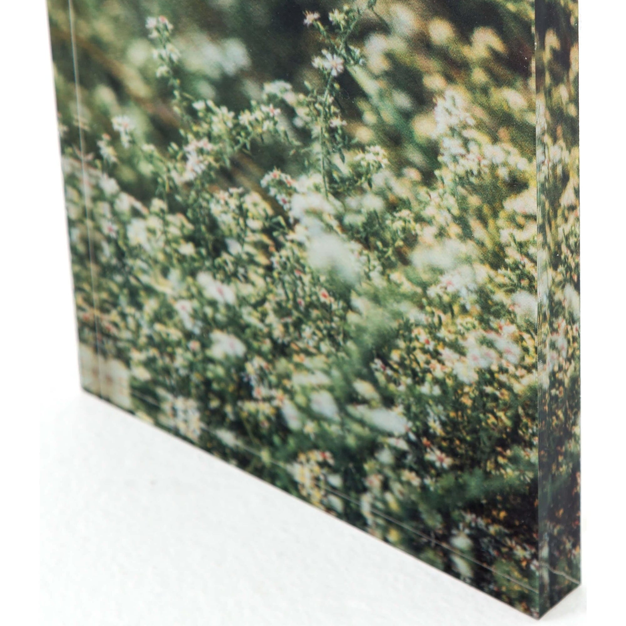 Spring Bloom High Fashion Home